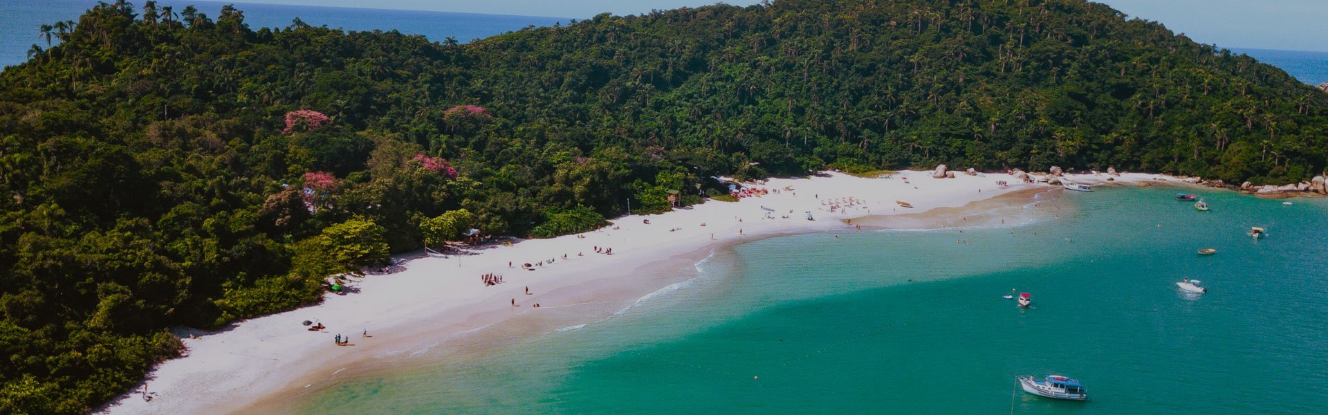 🌴 lha do Campeche: Passeio Exclusivo com Saída da Praia da Armação
